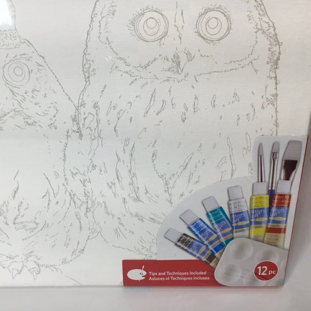 Paint by Number Kit NEW Artist's Loft PBN Owl Owls Canvas Acrylic Tubes Brushes